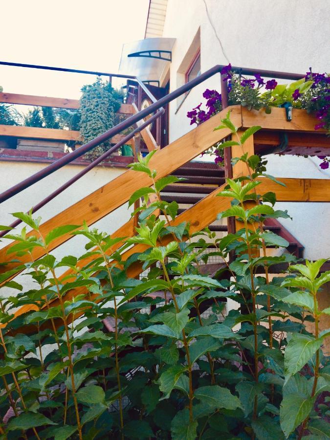 Apartament Delux Z Tarasem Appartement Sierpc Buitenkant foto
